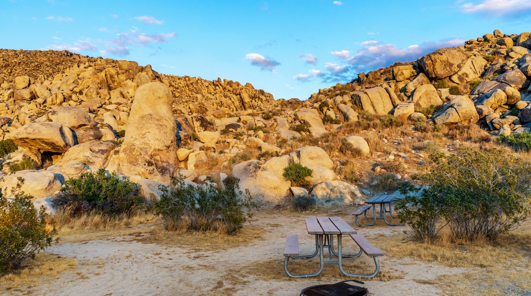 Picnic tables and fire ring at Horsemen's Center Park in Apple Valley, California in the Mojave Desert