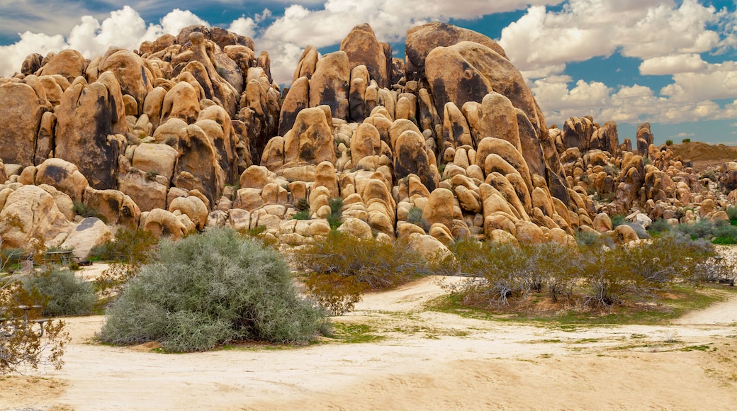 A desert landscape with prominent rock formations and sparse vegetation.