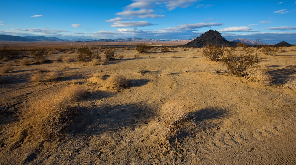 D1AT22 Desert scene in Apple Valley, California