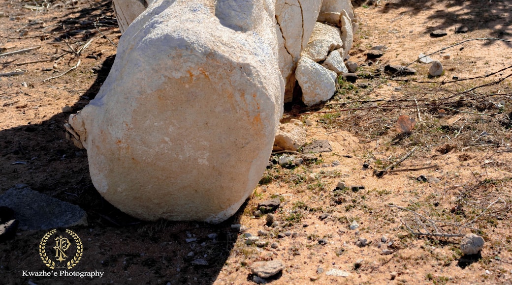 2020 of Jan 24th - Concrete Dinosaurs, Apple Valley, California