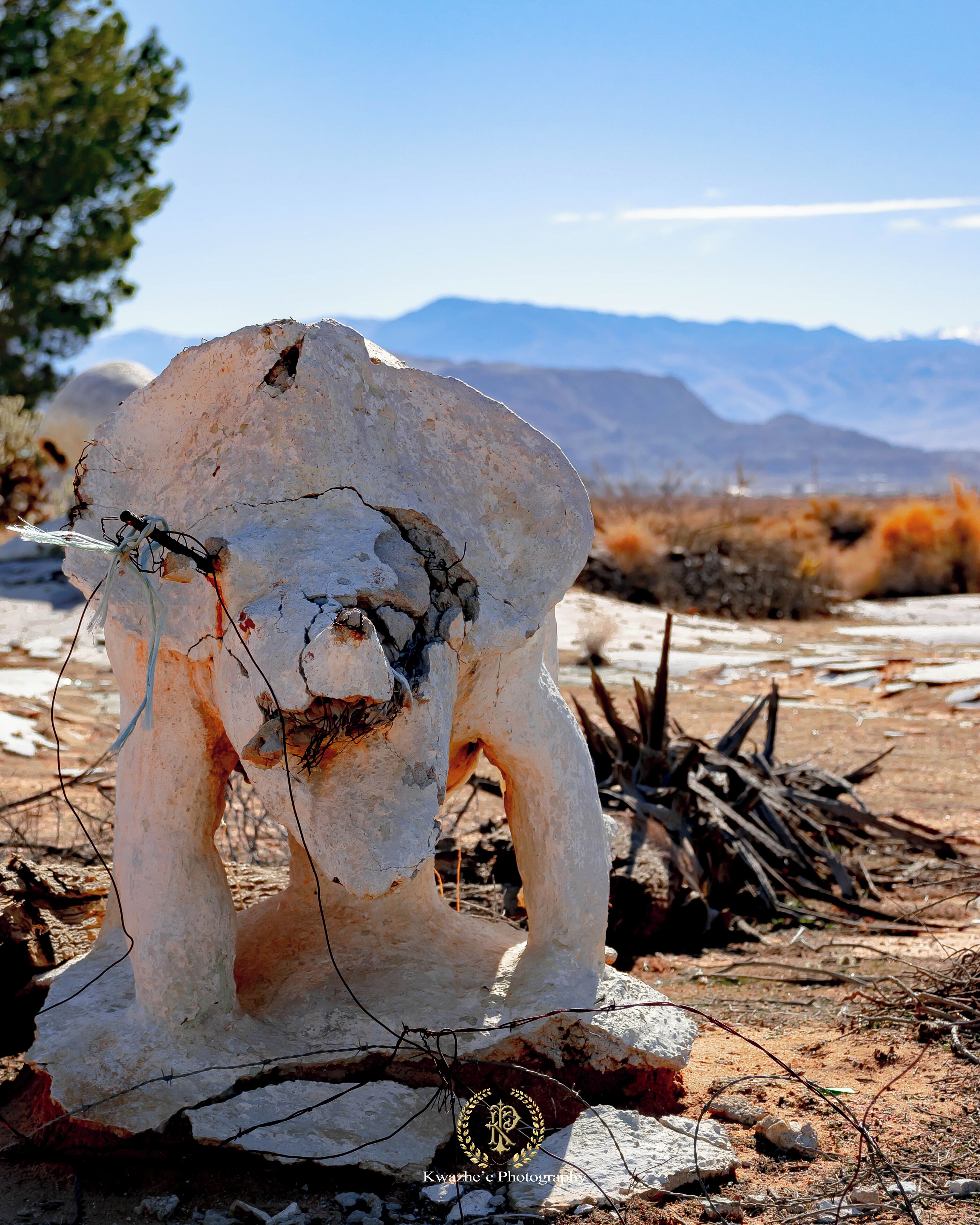 2020 of Jan 24th - Concrete Dinosaurs, Apple Valley, California