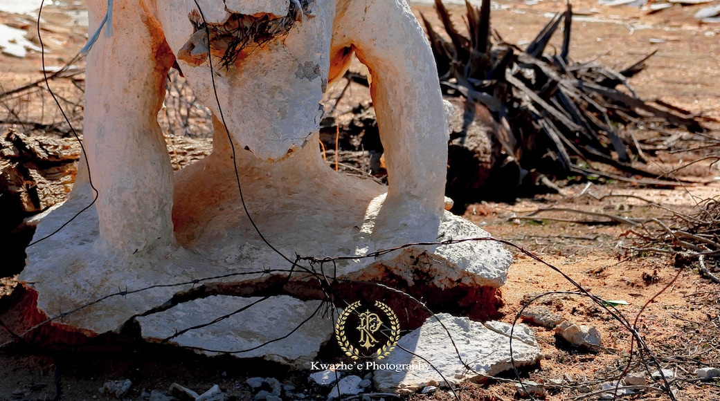 2020 of Jan 24th - Concrete Dinosaurs, Apple Valley, California