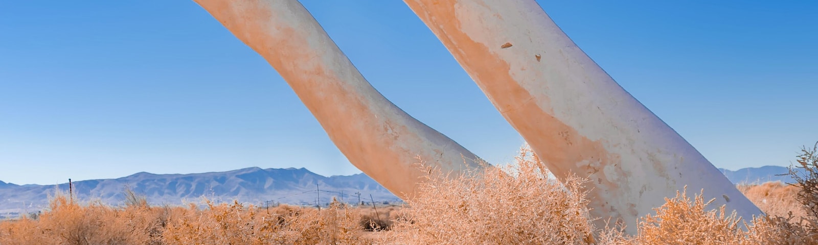 2020 of Jan 24th - Concrete Dinosaurs, Apple Valley, California