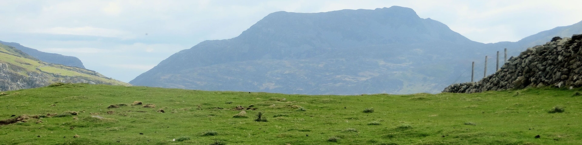 Snowdonia - east of Harlech - May 2013