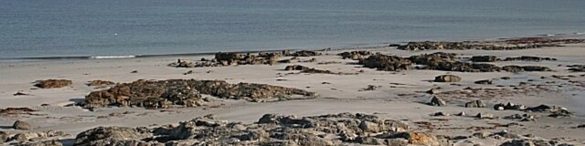 Una playa rocosa con grandes rocas dispersas y agua tranquila al fondo.