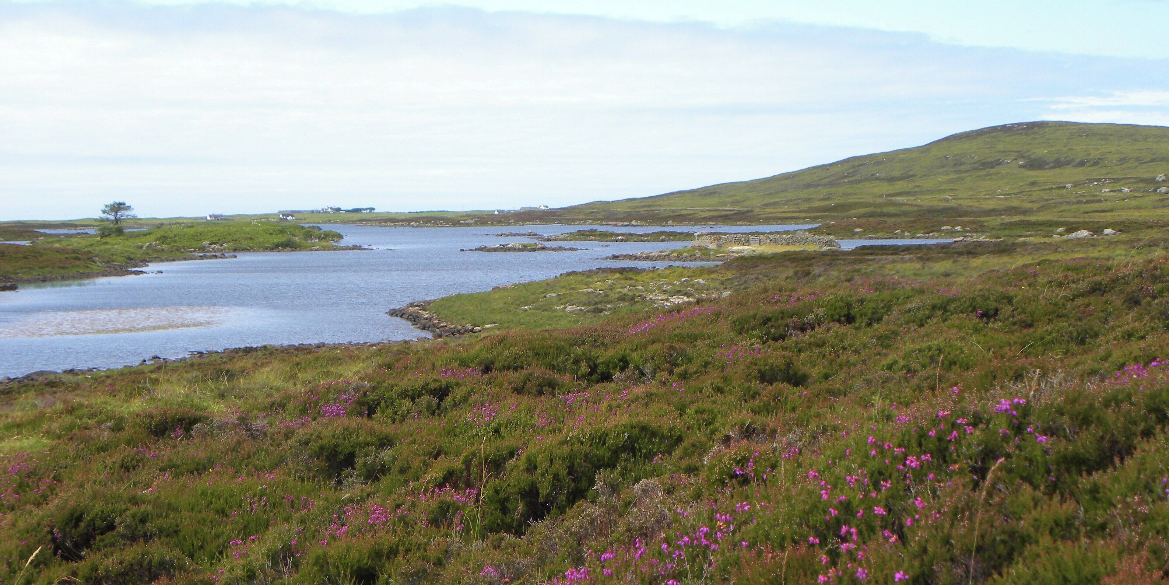 Loch Druidibeag