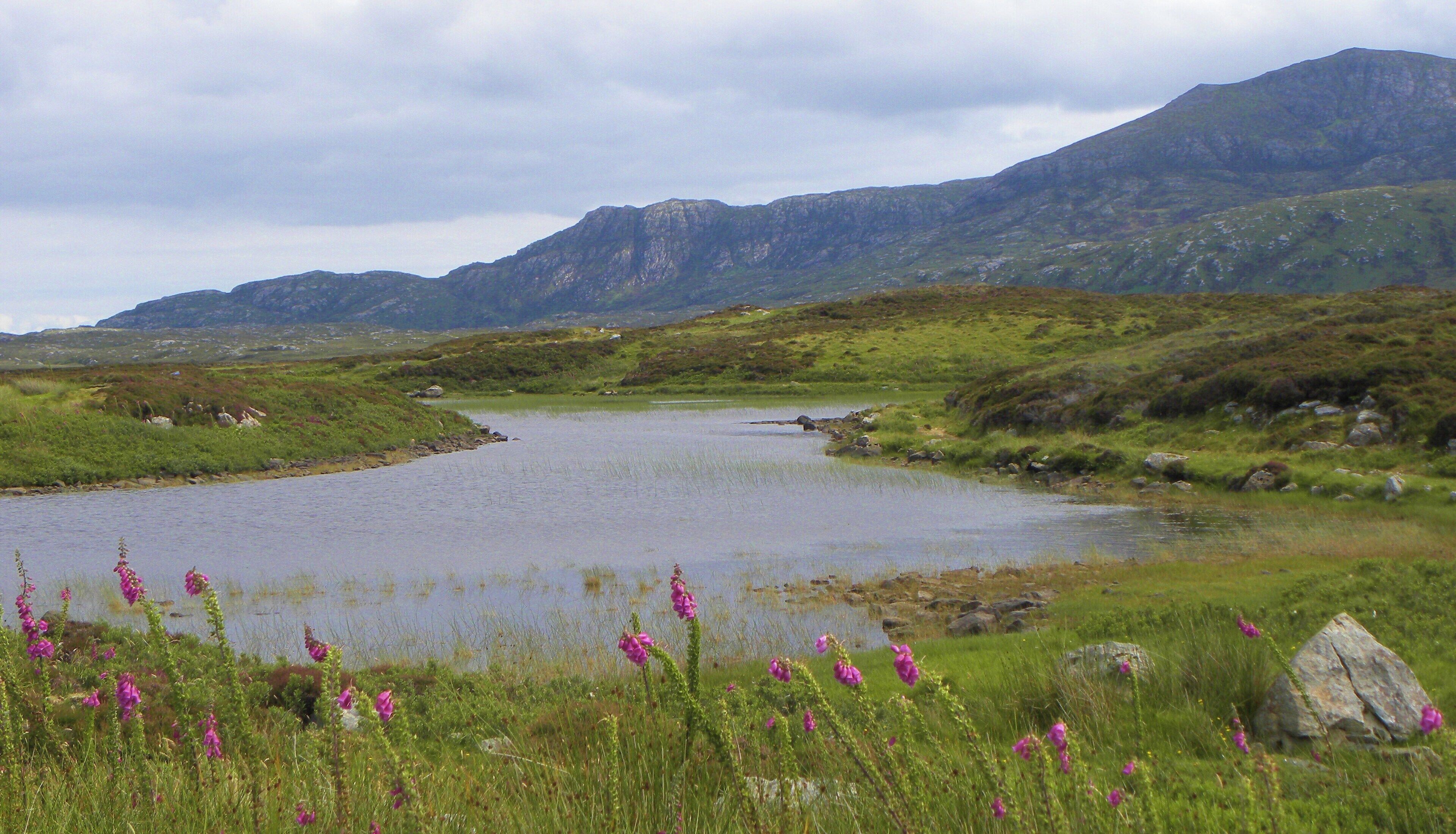 A corner of Loch Druidibeg