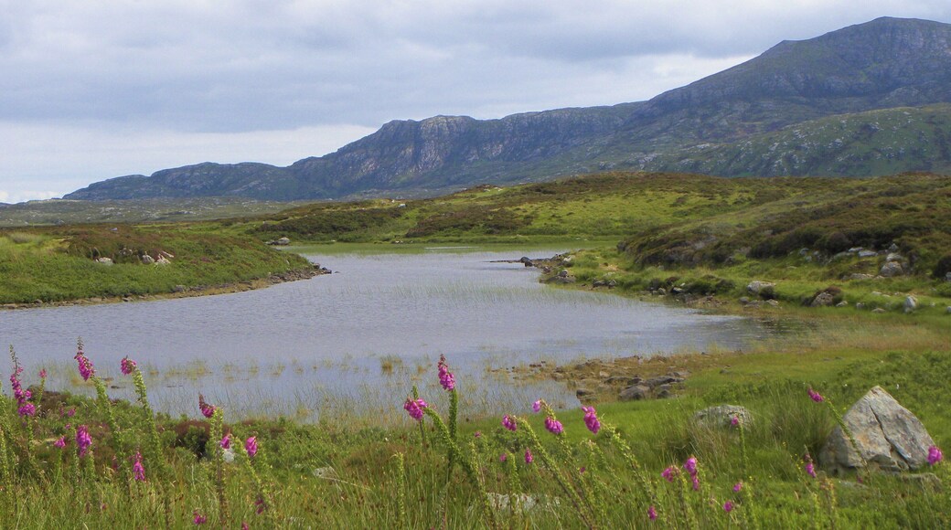 A corner of Loch Druidibeg