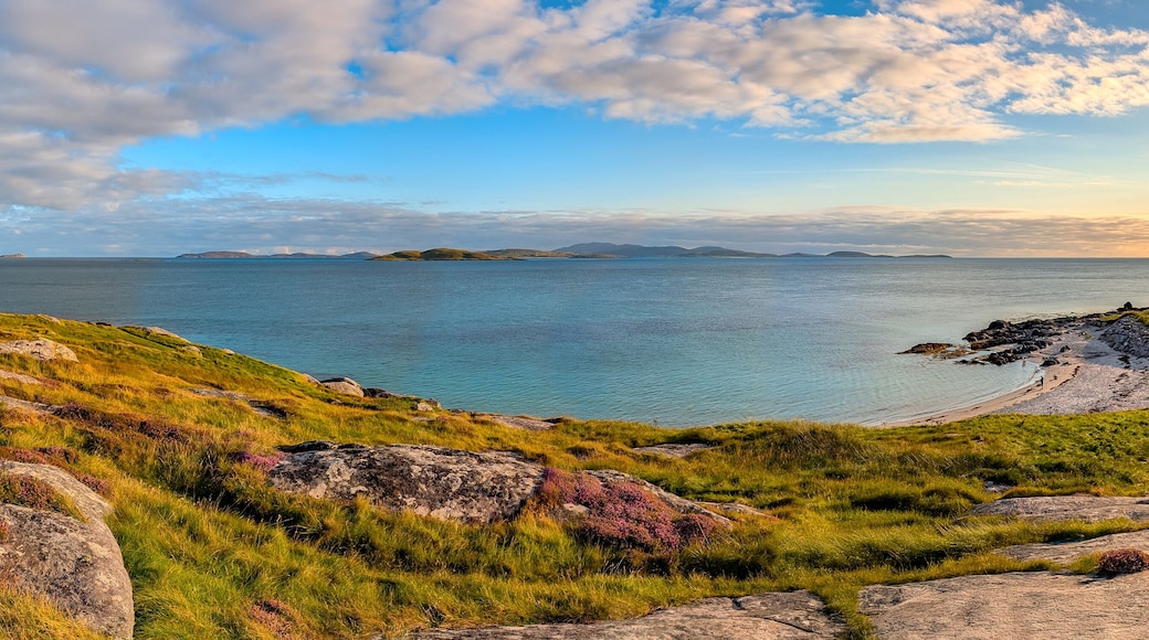 Karibik-Feeling auf South Uist – türkisblaues Panorama in den Äußeren Hebriden, Schottland -Küstenlandschaft mit türkisblauem Wasser, violetter Besenheide und Sandbucht. Sommerliche Ruhe und Fernweh.