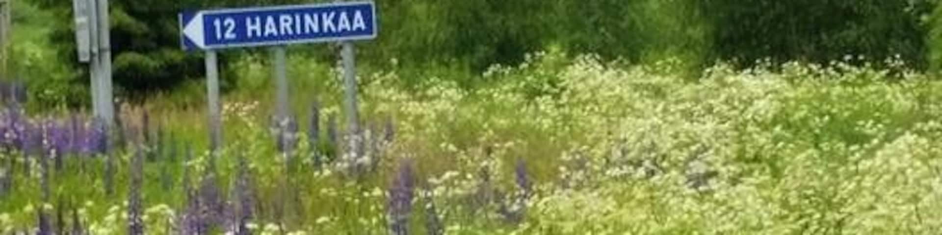 Even on a rainy day, a beautiful site along the road in Viitasaari, Finland.