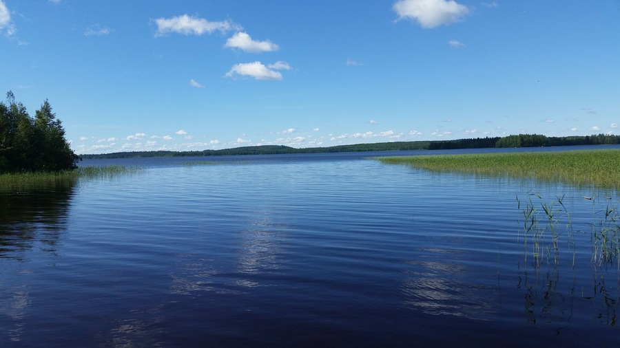 What a view! Visiting the bf's summer home in Viitasaari, Finland. #beautiful #finland #blue