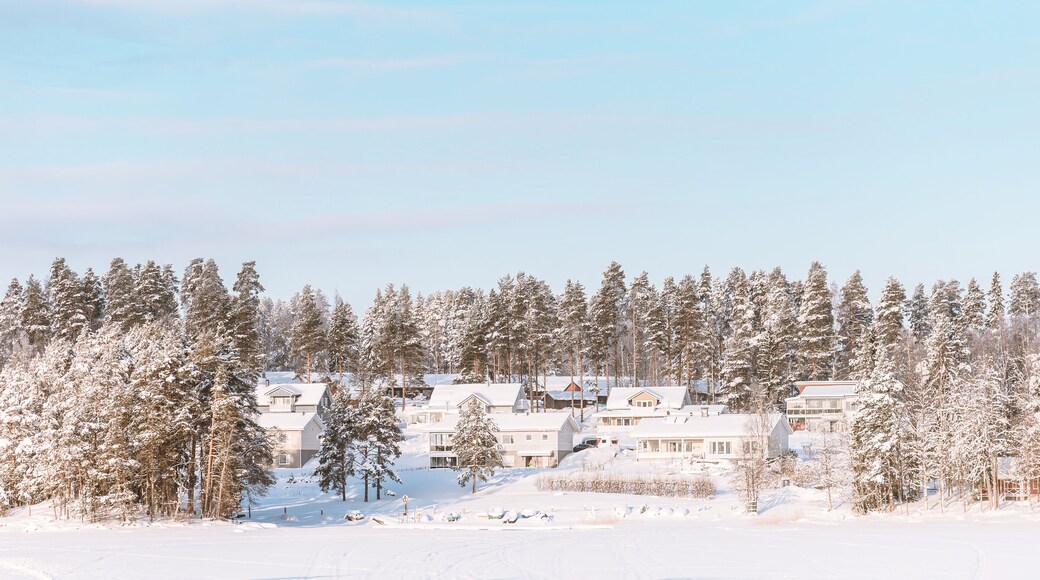 Typical Finnish village in Central Finland under snow cover in winter