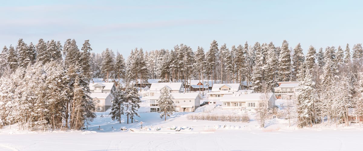 A snow-covered landscape with a cluster of houses and tall pine trees.