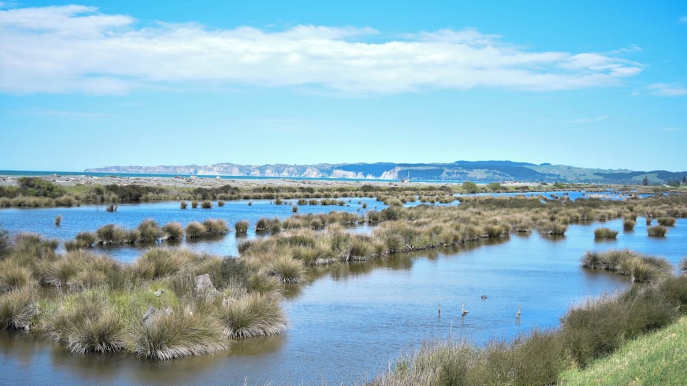 The cycle tracks along the sea-shore of Hawke's Bay are a great way to spend an afternoon or morning. We biked from Napiers' Marine Parade to the Haumoana market day, which took a couple of hours. The views are lovely, and there are ice-creams available at the end!
Make sure you pack sun-block and a big bottle of water - the sun and heat can be super intense.