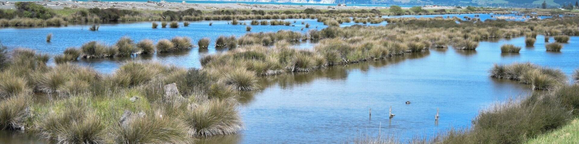 The cycle tracks along the sea-shore of Hawke's Bay are a great way to spend an afternoon or morning. We biked from Napiers' Marine Parade to the Haumoana market day, which took a couple of hours. The views are lovely, and there are ice-creams available at the end!
Make sure you pack sun-block and a big bottle of water - the sun and heat can be super intense.