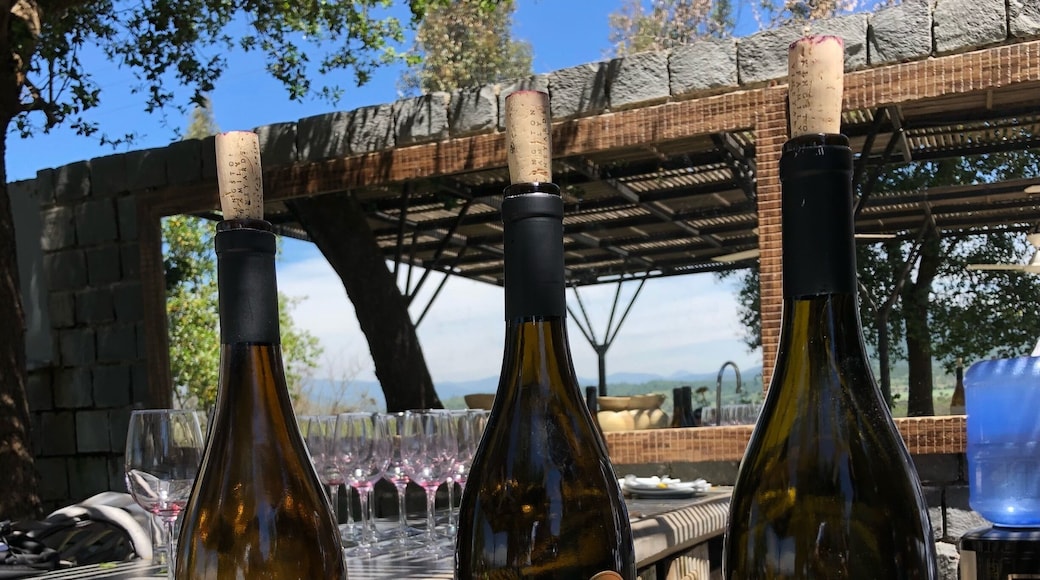 If you love wine, this is a lovely stop for a tour and tasting.