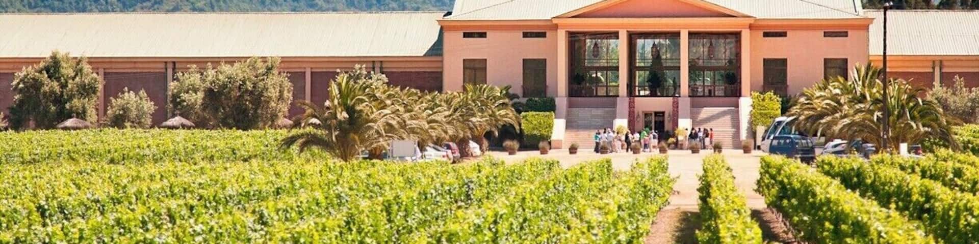 Driving from Santiago to Valparaíso? Stop by the Casablanca Valley for winery tours and tastings in this less opulent rendition of Napa Valley. Pictured here is the Veramonte Winery. Although their wines probably won't knock your socks off, they consistently earn best buy and top value awards from the likes of Wine Spectator.