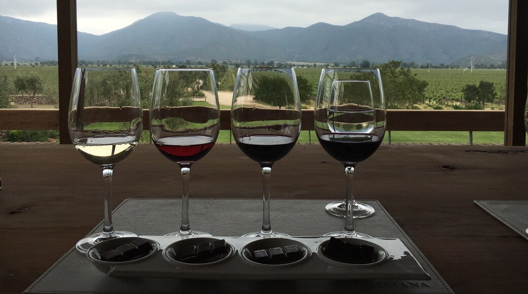 Wine tasting at its best!!