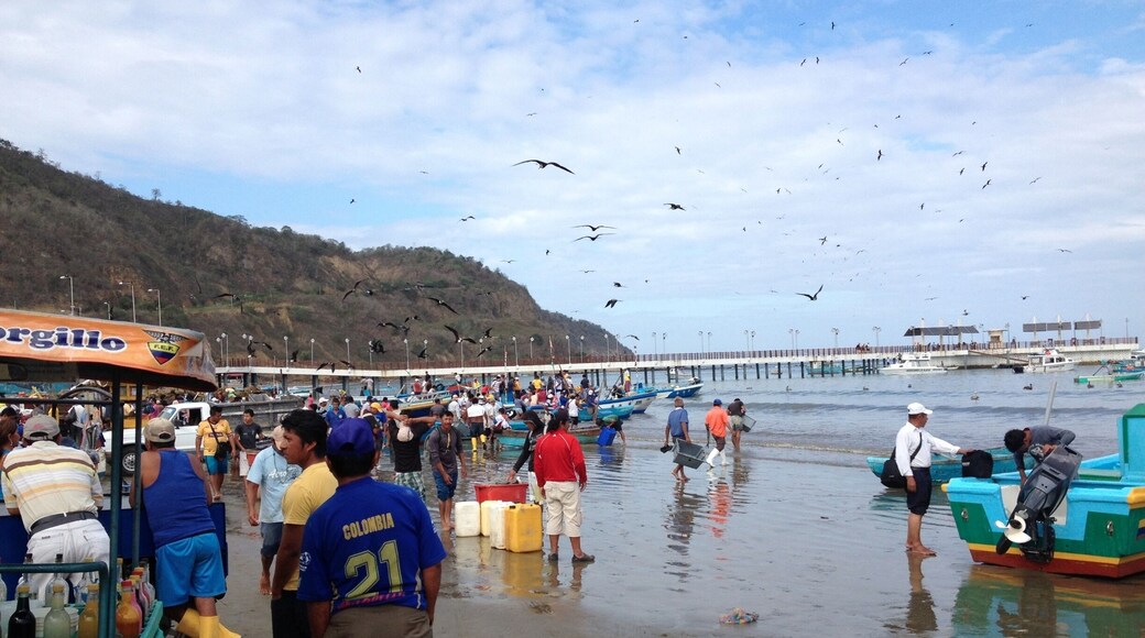 Birds and people alike gather for the fresh catch of the day along the beach in Puerto Lopez. Although the market is open daily, Saturday morning is the busiest day. Many of the local town restaurants get the day's supply of fish and other seafood from this market, and it's easy to recognize the freshness when you eat it. Come hungry to the market and you can ask the vendors to fix your choice of the catches there for you. #market