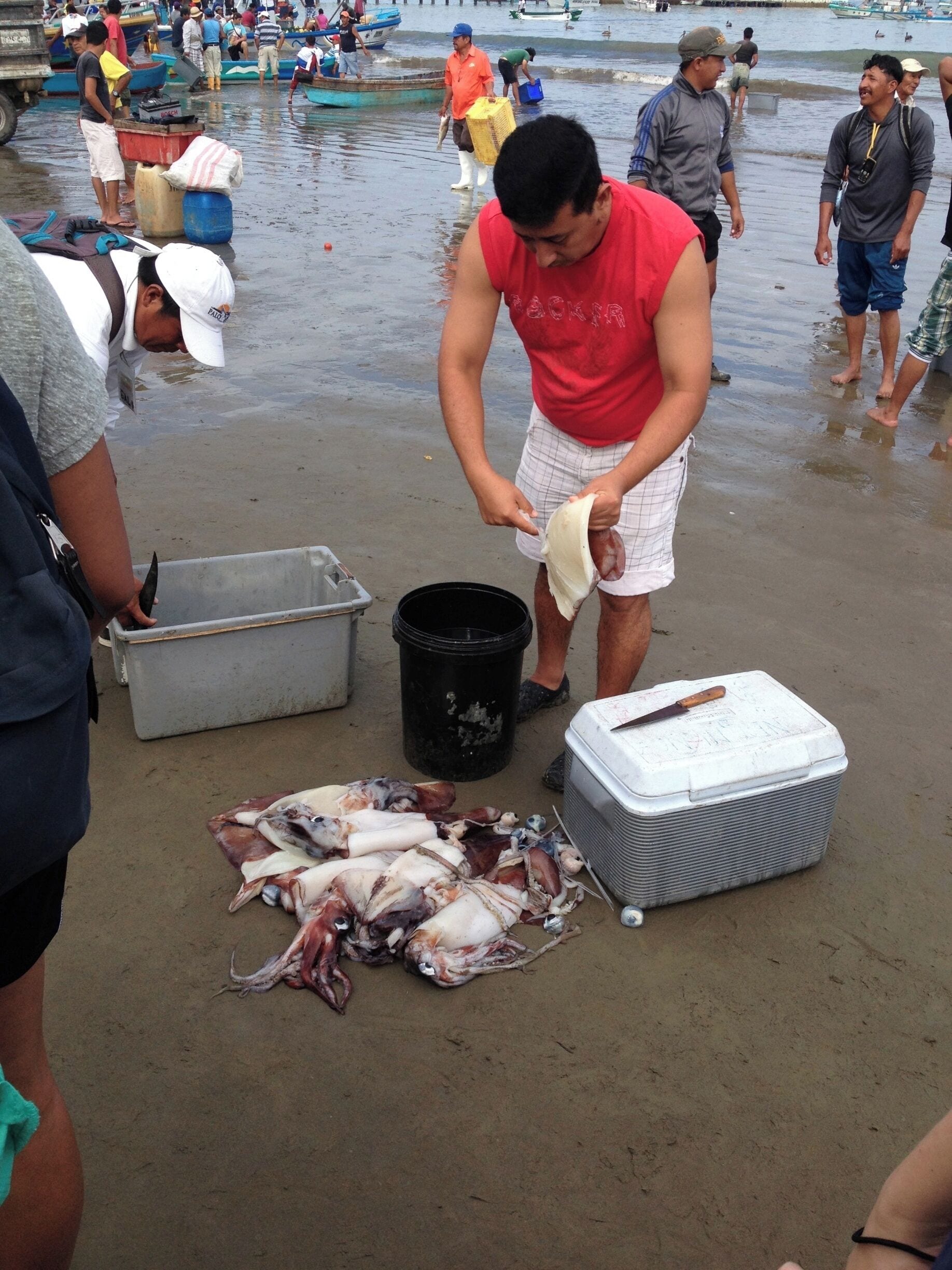 A man cleans his fish and squid catch at the local fresh fish market on the beach of Puerto Lopez. #market