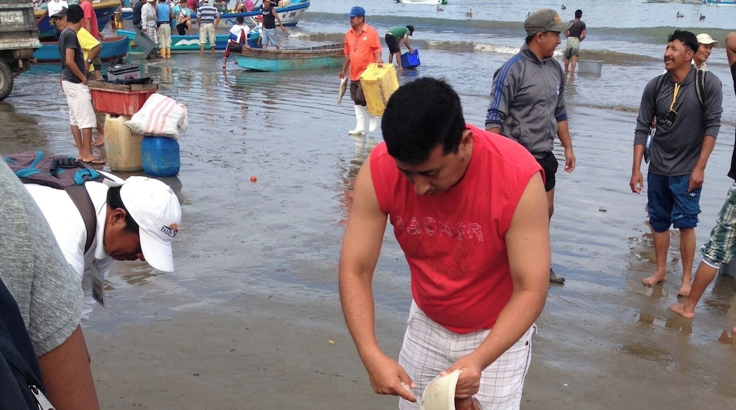 A man cleans his fish and squid catch at the local fresh fish market on the beach of Puerto Lopez. #market