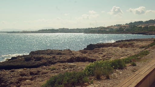 ® ┼ M.D. ALCOCEBRE SENDA LITORAL FARO