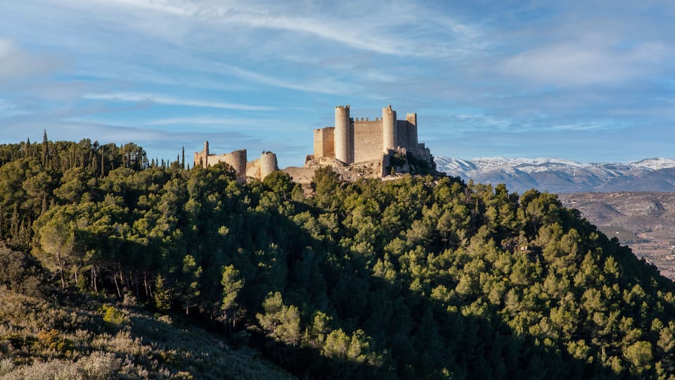 A medieval castle atop a forested hill with snow-capped mountains in the background.
