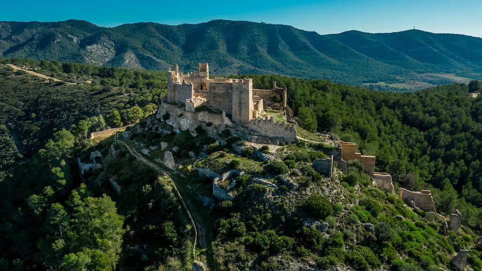 An ancient castle atop a hill surrounded by dense forest and mountains.