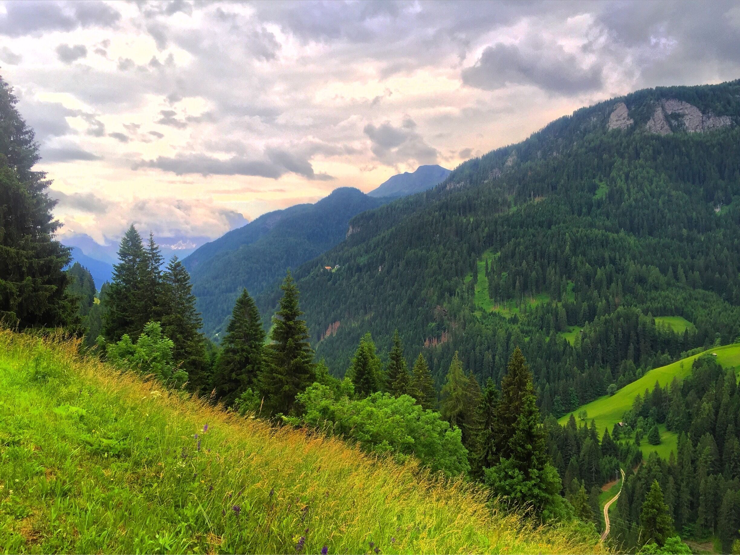 Different shades of #green 🏞🌲