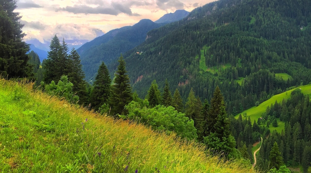 Different shades of #green 🏞🌲