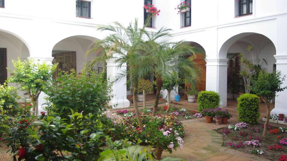 A courtyard with white walls, arches, and potted plants.