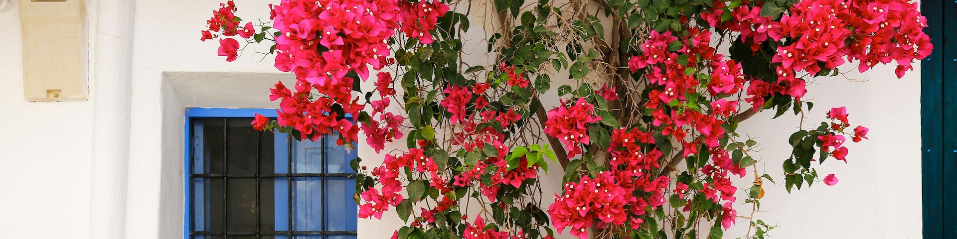 calle de pueblo nijar con buganvilla rosa en la fachada de la casa patio cabo de gata almería U84A3312-as20