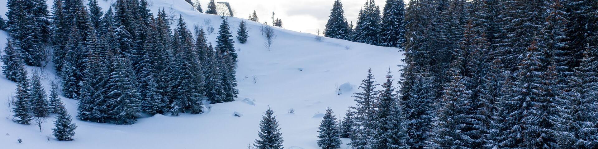 Aerial view of woman walking in the snow cross country in the French Alps, France.