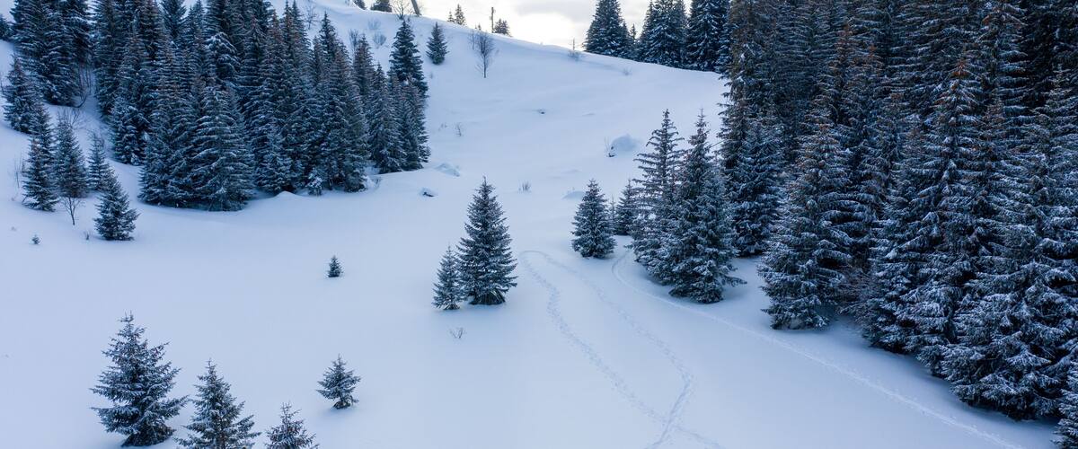 A snowy mountain landscape with a skier in a yellow jacket.