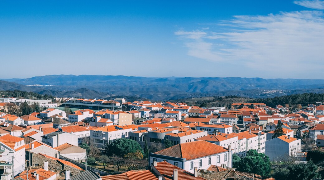 Aerial view of the beautiful municipality of Meda in Portugal