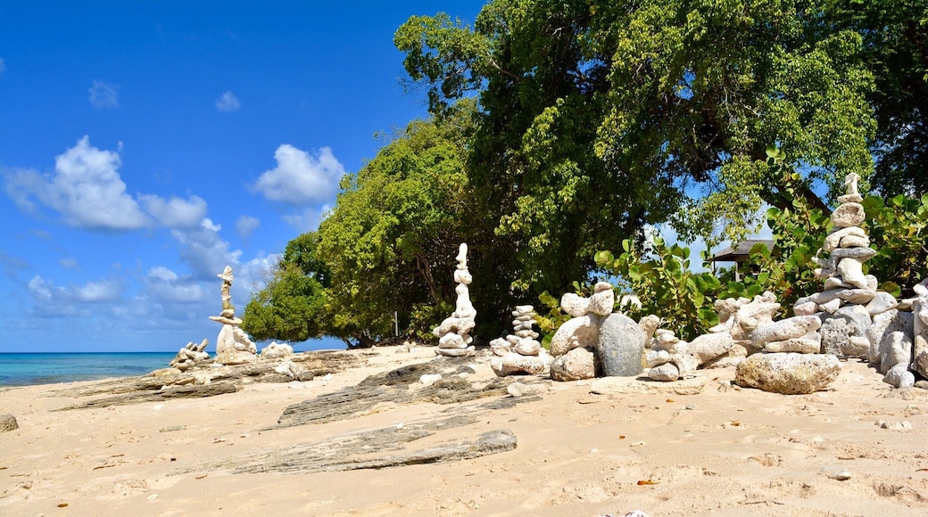 Amazing place to visit on the west coast of Barbados