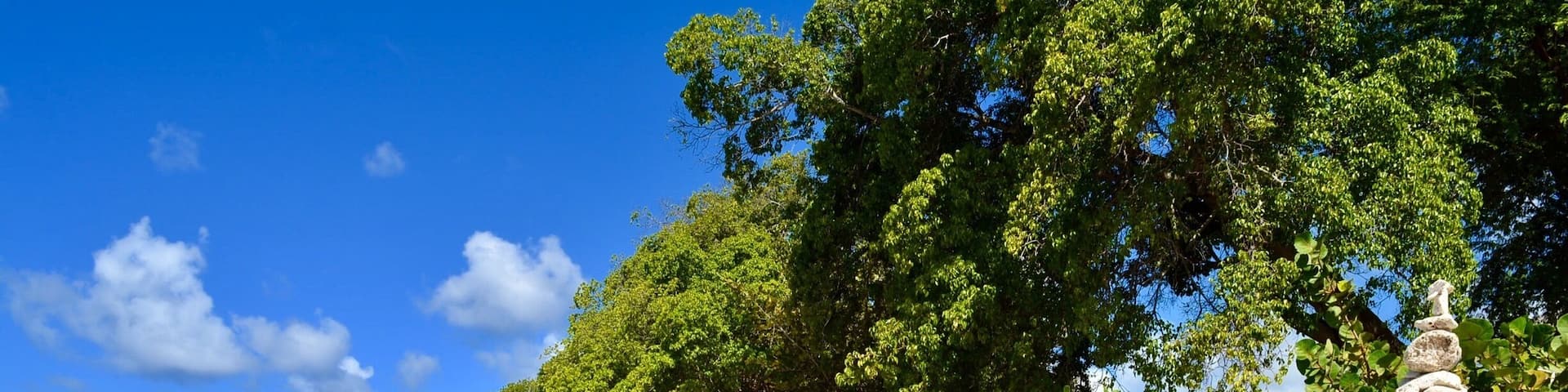 Amazing place to visit on the west coast of Barbados