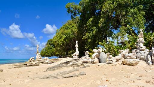 Amazing place to visit on the west coast of Barbados
