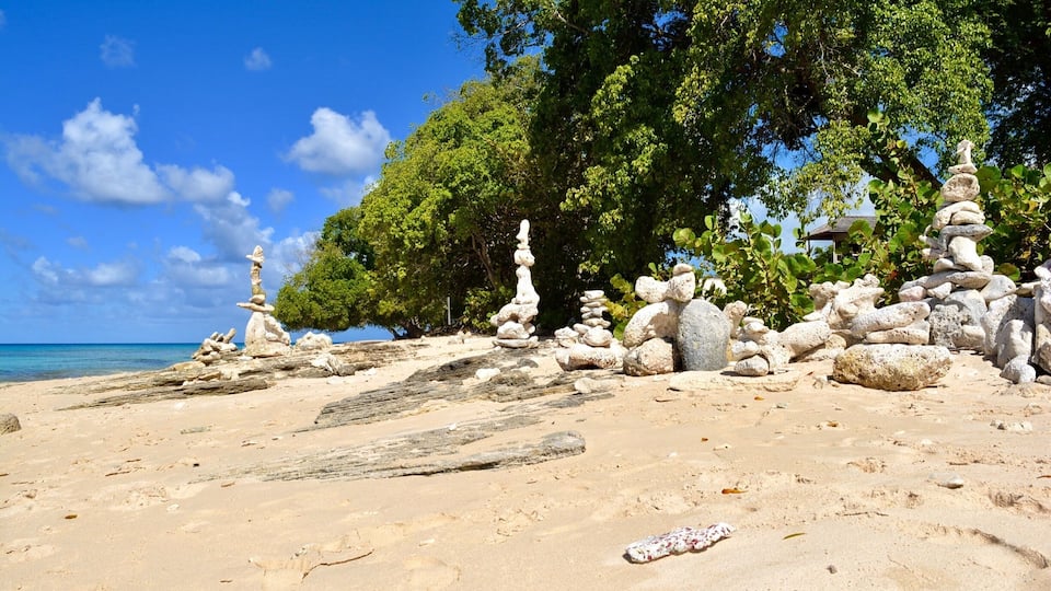 A beach with stone stacks and trees.