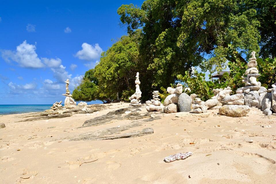 Una playa con montones de piedras y árboles.