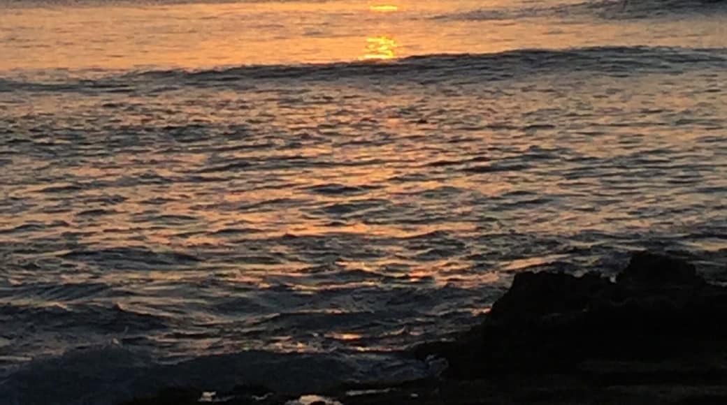 Sailing into the sunset