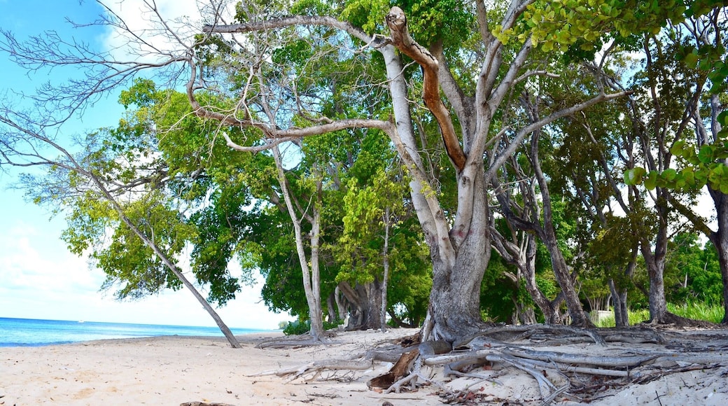 Beautiful spot where you can enjoy a sunbathing in wild