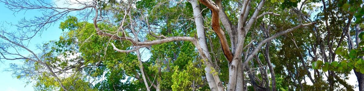 Beautiful spot where you can enjoy a sunbathing in wild