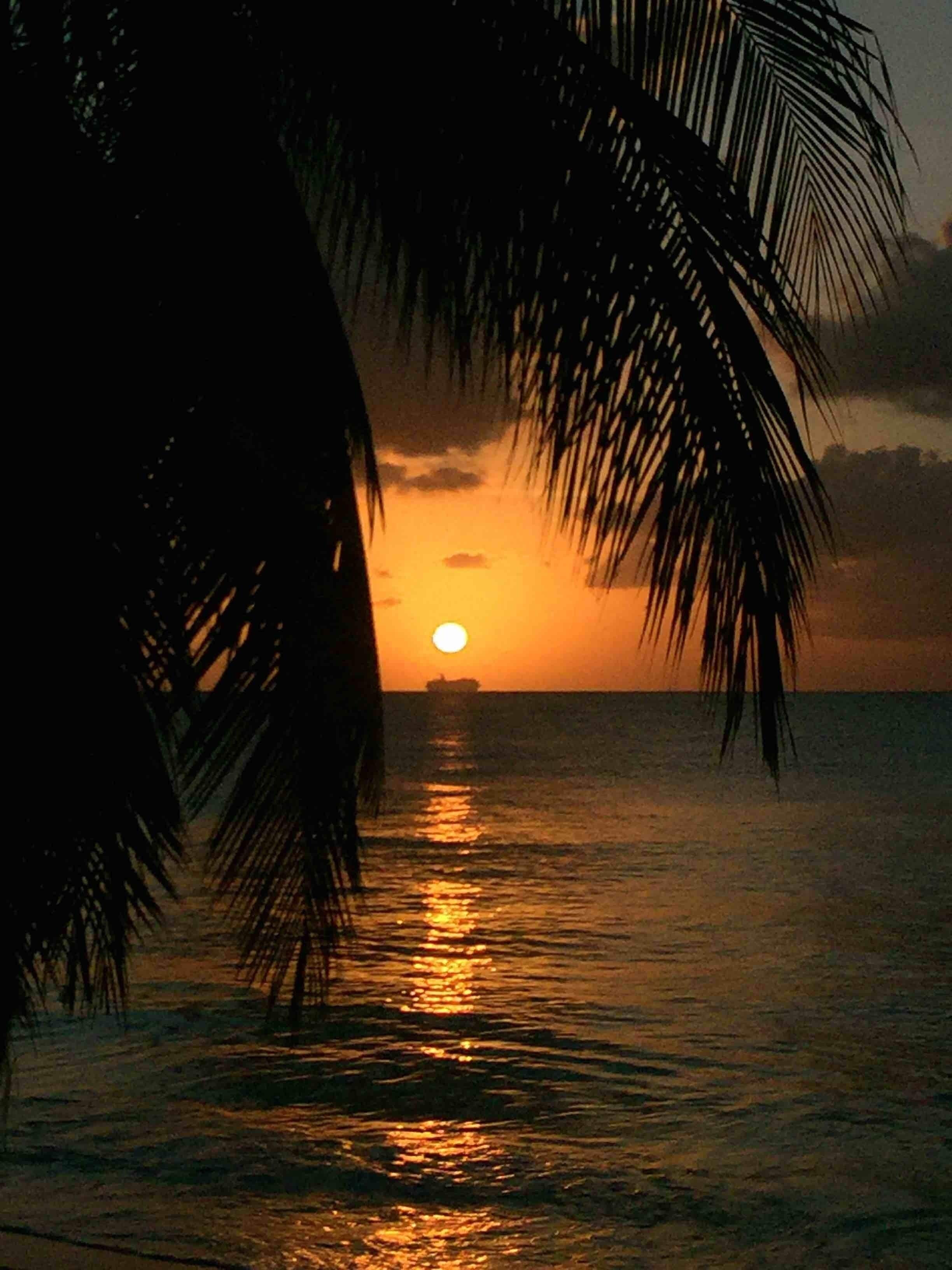 Cruising into sunset.