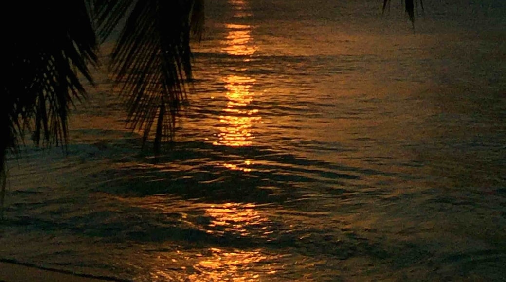 Cruising into sunset.