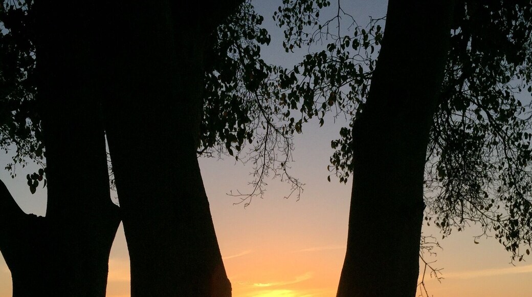 Sun dropping into the sea.