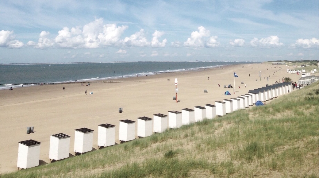 With the wind in the hair... Enjoying a good dutch coastline. #beach #netherland #travel