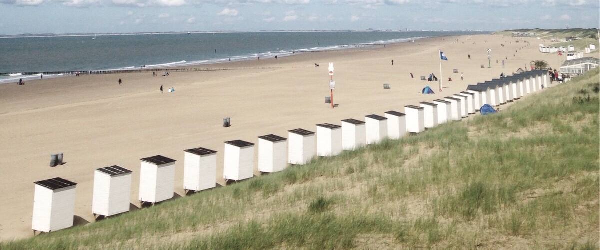 With the wind in the hair... Enjoying a good dutch coastline. #beach #netherland #travel