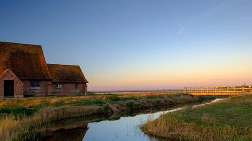 Romney Marsh