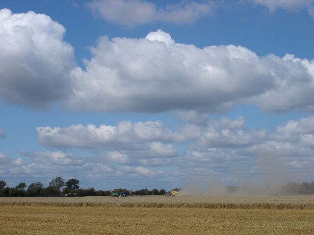 Gathering in the Harvest Outside Ivychurch
